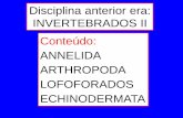 Disciplina anterior era: INVERTEBRADOS II Conteúdo ... · origem mesodÉrmica), sendo portanto uma hemocele (também referida como pseudocele) hemocele pode ser grande como em arthropoda