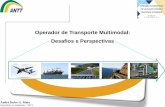 Operador de Transporte Multimodal: Desafios e Perspectivasantaq.gov.br/Portal/pdf/Palestras/Seminario_Internacional_NI_Tran... · transporte em si, os serviços de coleta, unitização