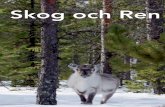 Skog och Ren - skogskunskap.se · 4 • Skog och Ren Skogsbruk Många intressen ska samsas i skogen – skogsbruk, rennäring, jakt, svamp-plockning och annat friluftsliv – sam-