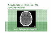 Anatomia e tecnica TC dell’encefalo - fisiokinesiterapia.biz · studi TC cranio-encefalici è molto importante fare attenzione alla simmetricità della posizione della testa. Quest’ultima