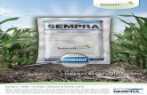 * sabemos donde vivís, cebollín.** sabemos donde vivís ... · Sempra es un herbicida granulado recomendado para el control postemergente de cebollín (Cyperus rotundus) en cultivos
