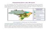 Vegetações do Brasil - jonatando.files.wordpress.com · Vegetações do Brasil ... aplicações industriais e encontrado principalmente no Maranhão e Tocantins e a carnaúba da