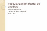 Vascularização arterial do encéfalo - xa.yimg.comxa.yimg.com/kq/groups/27464029/1739415217/name/Vascularização... · Irrigação do Encéfalo A. Carótida Externa D A. Comunicante