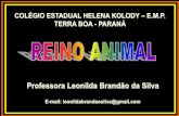 Professora Leonilda Brandão da Silva · sensoriais e tecido nervoso do que o resto do corpo. Adaptada a receber estímulos do ambiente. ... •No estágio de gástrula, o embrião