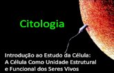 Introdução ao Estudo da Citologia: A Célula Como Unidade ...biologiaecienciascap.pbworks.com/f/introdução+à+citologia.pdf · •Vírus. Células-tronco . Title: Introdução