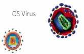 OS Vírus - proeducar.com.brproeducar.com.br/plataformanova/data/u/saojoseinterativo/arquivos/... · •São doenças causadas por vírus; •Aids, dengue, raiva, ebola, gripe, caxumba,