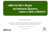 NBR 14.725 e ções da Indústria uímica sobre o GHS e REACH · comércio (TBT), ambos do âmbito da Organização Mundial do Comércio (OMC), ou de outras legislações nacionais