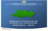 Balança Comercial do Amazonas - SEPLANCTI · 10 outros reles,60volts