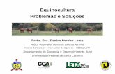 Equinocultura Problemas e Soluções - agricultura.gov.br · Ração x Capineira Medo x Confiança Resultados x ética . Publicações 2016 – 2017- percepções
