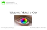 Sistema Visual e Cor - Universidade de Aveiro › SWEETsweet.ua.pt/bss/aulas/VI-2014/Sistema Visual-e-cor-2014.pdf · • A teoria tricromática da cor inspira-se na visão a cores