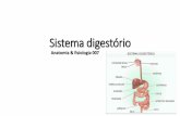 Sistema digestório - teseconcursos.com.br · digestÃo dos lipÍdios digestÃo das proteÍnas digestÃo dos carboidratos absorÇÃo dos nutrientes Íleo absorÇÃo. glÂndulas anexas
