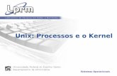 Unix: Processos e o Kernel - Informáticargomes/so_fichiers/aula5.pdf · • Prioridade de escalonamento • Informações para manipulação de sinais (ignorados, bloqueados, postados,
