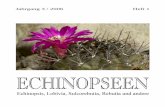 Jahrgang 3 / 2006 Heft 1 - Au Cactus Francophone · II Echinopseen 3 (1) 2006 ECHINOPSEEN Echinopsis, Lobivia, Sulcorebutia, Rebutia und andere Halbjährlich erscheinende Fachzeitschrift