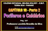 Professora Leonilda Brandão da Silva · •Hidrozoários - hidras e caravelas •Cifozoários - águas-vivas •Antozoários - anêmonas e corais