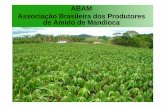ABAM Associação Brasileira dos Produtores de Amido de Mandioca · * Source: Thai Tapioca Trade Association. Evolução do Preço da Raiz de Mandioca - Posto Fabrica (Jan/ 1989 a