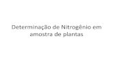 Determinação de Nitrogênio em amostra de plantas · CICLO DO NITROGÊNIO . Fixação do Nitrogênio •A fixação do nitrogênio é o processo pelo qual o nitrogênio gasoso do