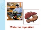 Sistema digestivo - cienciasonline.files.wordpress.com · Como funciona o sistema digestivo? Sistema circulatório. ... do aparelho digestivo? As doenças do sistema digestivo resultam