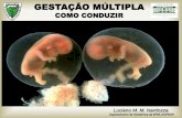 GESTAÇÃO MÚLTIPLA - sinhajornada.com.br · Amniorrexe prematura Pré-eclâmpsia (2 x) Prematuridade Inserção baixa da placenta (1,7 x) DPP (2 x) Hemorragia pós-parto (2x) RCIU