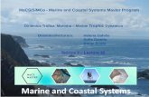 MaCS/SiMCo - Marine and Coastal Systems Master Programw3.ualg.pt/~hgalvao/SIMCO/Teor3 - Protists.pdf · Dicotomia entre protozoários e micro-algas. ... 2. foraminíferos com carapaças