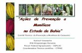 “Ações de Prevenção a Monilíase no Estado da Bahia” · (Vassoura-de-Bruxa) Ceratocystis cacaofunesta (Murcha-de-Ceratocystis) Moniliophthora roreri (Monília) 1909 1989 1998