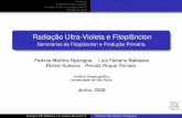 Radiação Ultra-Violeta e Fitoplâncton · Introdução Danos provocados pelo UV Combate ao danos causados pelo UV Estudos de casos Radiação Ultra-Violeta e Fitoplâncton Seminários