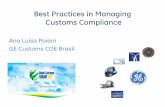 Best Practices in Managing Customs Compliance · – Despachante Aduaneiro MelhoresPráticas. Enterprise Standards • Padrõesrelacionadoscom operaçõesde importaçãoe exportaçãoquedevemser
