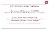 UNIVERSITA’ DI ROMA “SAPIENZA” - Università di Romadma.ing.uniroma1.it/users/m_misure_c1/Presentazione Biomasse.pdf · (slide 3-4) • Attività di ricerca e strumentazioni