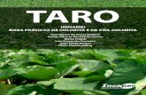 TARO - biblioteca.incaper.es.gov.br · Incaper - Biblioteca Rui Tendinha Dados Internacionais de Catalogação na Publicação (CIP) T191 Taro (Inhame) : boas práticas de colheita