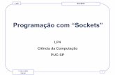 Programação com “Sockets”jarakaki/lp4/ProgramacaoSockets.pdf · • A programação de acessos à rede passa a ter uma interface similar a do sistema de arquivos do Unix ...