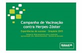 Campanha de Vacinação contra Herpes-Zóster - Institucional · Campanha de Vacinação contra Herpes-Zóster Experiências de sucesso –Simpósio 2015 Categoria: Relacionamento