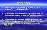 TECIDOS - colegiodomus.com.br · classificados em tecido epitelial, tecido conjuntivo, tecido muscular e tecido nervoso. TECIDO EPITELIAL