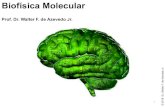 Biofísica - azevedolab.netazevedolab.net/resources/biofiis_mol_09.pdf · celular. Como sempre, a parte de cima da ... A acetilcolinaesterase tem sido estudada intensamente por ser