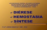 DIÉRESE HEMOSTASIA SÍNTESE - Jorge Bins-Elyjorgebinsely.com/dierese.pdf · disciplina de tÉcnica operatÓria e cirurgia experimental - toce hemostasia sÍntese profº jorge bins-ely-