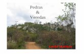 PEDRAS E VEREDAS - gmariano.com.br filePedras & Veredas ...