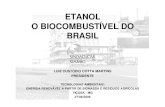 ETANOL O BIOCOMBUSTÍVEL DO BRASIL - institutobrasil.com · etanol o biocombustÍvel do brasil luiz custÓdio cotta martins presidente tecnologias ambientais: energia renovÁvel a