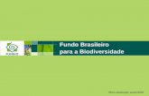 Fundo Brasileiro para a Biodiversidade - mma.gov.br · Fundo Aliança para a ... SEMA São Paulo. GEF ... Oportunidades em análise. Pedro Leitão. Secretário Geral. pedro@funbio.org.br.