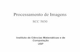 Processamento de Imagens - lcad.icmc.usp.brjbatista/procimg/2015/Intro.pdf · Fundamentos de Visão Computacional e Processamento de Imagens • Computer Imaging: Manipulação de