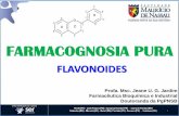 Slide sem título - downloadportal.sereduc.com · Discorra sobre as propriedades fisológicas dos flavonoides. 5. Enumere sete propriedades farmacológicas dos flavonoides. 6. Cite