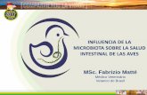 INFLUENCIA DE LA MICROBIOTA SOBRE LA SALUD … · Alimentos Manejo Microorganismos ... 6,5% de Streptococcus spp. 6,5% de Enterococcus spp ... campus Dois Vizinhos/PR e ao Programa