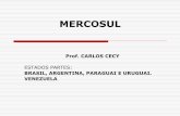 MERCOSUL - cff.org.br MERCOSUL CFF.pdf · OBJETIVOS DO MERCOSUL O MERCOSUL é um bloco econômico que tem por objetivo a integração sócio-cultural e a livre circulação de bens,