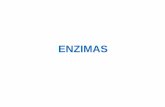 ENZIMAS - docentes.esalq.usp.brdocentes.esalq.usp.br/luagallo/bioquimica dinamica/enzimas5.pdf · determinadas na sequencia de aminoácidos . ... energia fornecida a um sistema p