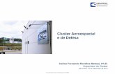 Cluster Aeroespacial e de Defesa · – Competitividade de fornecedores (ABDI, Embraer) – Internacionalização (APEX, SEBRAE) • Geração de novos negócios ... – Projetos