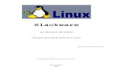 Slackware - Conhecendo Linux - Conhecendo Linuxconhecendolinux.ucoz.net/Linux-Slackware.pdf · Linux Educacional ... dizer que o Windows poderia ceder lugar ao uso de um sistema gratuito