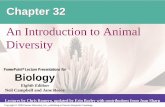 An Introduction to Animal Diversityocw.nthu.edu.tw/ocw/upload/17/337/【L04 課程大綱】Ch32-pre.pdf · Ctenophora. Cnidaria. Acoela (basal. bilaterians) Deuterostomia. Lophotrochozoa.