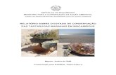 Relatório Sobre o Estado de Conservação de Tartarugas ...zonascosteiras.gov.mz/...sobre...Tartarugas_Marinhas_em_Mocambique.pdf · 2 Grupo de Trabalho Tartarugas Marinhas de Moçambique.