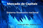 Sistema financeiro nacional - Prof. Roberto César · Sistema Financeiro Nacional O Sistema Financeiro Nacional pode ser definido como o conjunto de instituições e órgãos que