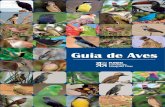 Guia de Aves - biologiaparabiologos.com.brbiologiaparabiologos.com.br/wp-content/uploads/2018/04/Guia-de... · dia e conheça algumas dicas de como se tornar um observador de aves.
