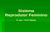 Sistema Reprodutor Feminino - colegiodomus.com.br · ENDOMÉTRIO É uma camada de células que reveste a cavidade uterina e tem uma participação muito importante durante a ovulação.