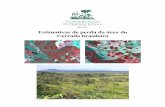 Estimativas da perda de área do Cerrado brasileirocmbbc.cpac.embrapa.br/RelatDesmatamCerrado CIBrasil JUL2004.pdf · A grande diversidade de espécies de animais e plantas do Cerrado