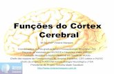 Funções do córtex cerebral - Fonovim · As áreas funcionais do córtex podem ser divididas em: ... •Área de Broca - área 44 de Brodmann localizada no giro frontal inferior,